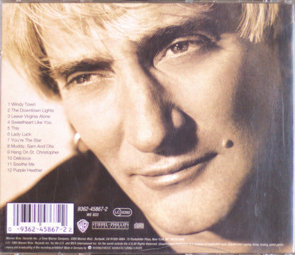 Rod Stewart - A Spanner In The Works CD