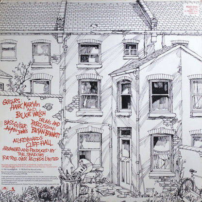 The Shadows – Hits Right Up Your Street Vinyl LP
